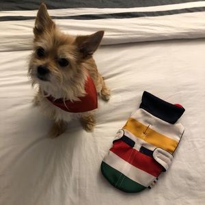 HBC FLEECE LINED DOG COAT FOR SALE!